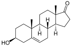 DHEA