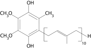 Ubiquinol benefits