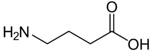 Gamma Aminobutyric Acid Molecular Structure