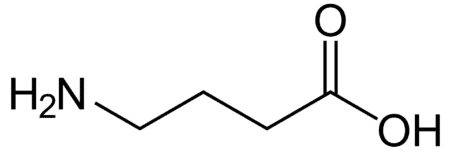 Gamma Aminobutyric Acid Molecular Structure