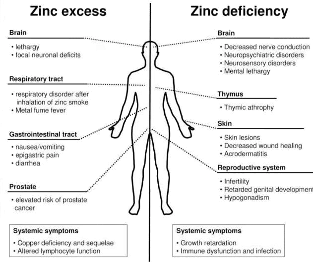 Zinc Deficiency