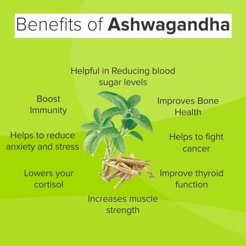 Ashwagandha Benefits