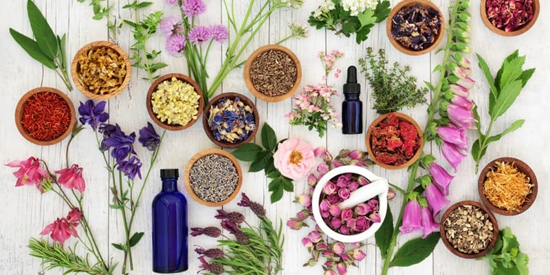 Herbal Supplements