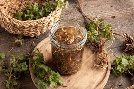 Stinging Nettle Root