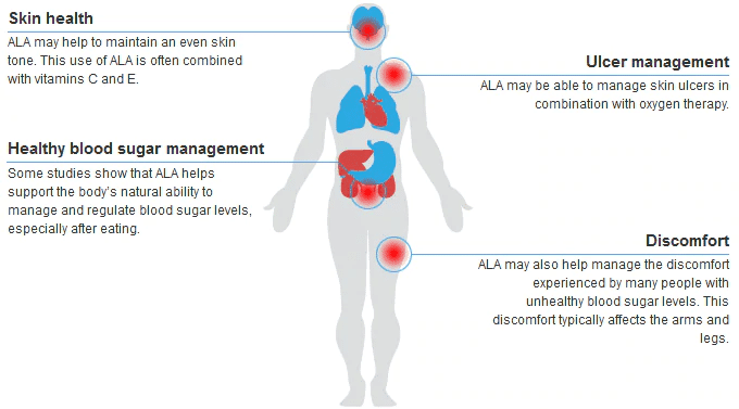 Alpha Lipoic Acid Benefits
