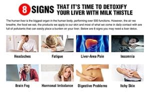 Silymarin Detoxifies the Body