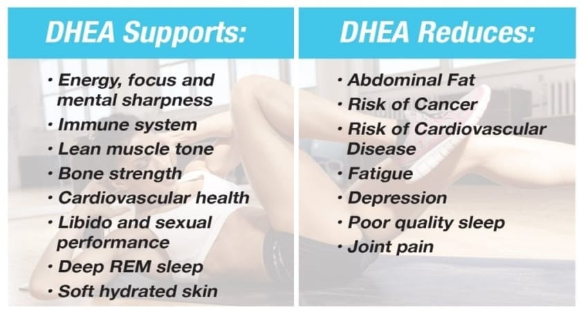 DHEA Supplement