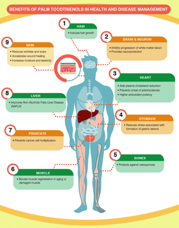 tocotrienols-benefits