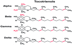 tocotrienols vitamin e